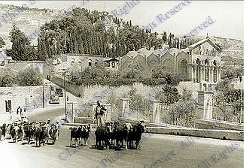 Gethsemane 1946
